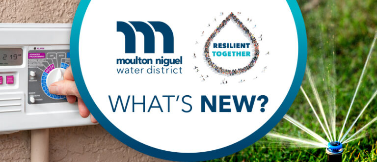September 2024 Newsletter: With Fall Approaching, It’s Time to Start Cutting Back on Outdoor Watering