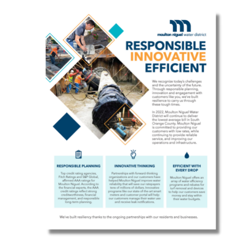 Responsible, Innovative, Efficient
