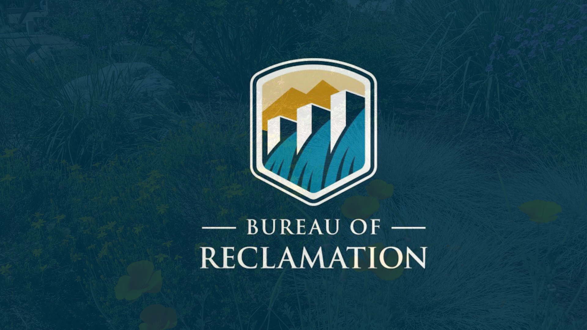 Bureau of reclamation