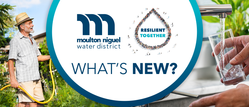June 2026: Water Quality Report: Moulton Niguel Delivering Safe & Clean Water