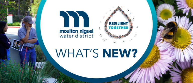 March 2026: Join Us for Free Water-Smart Garden Tours