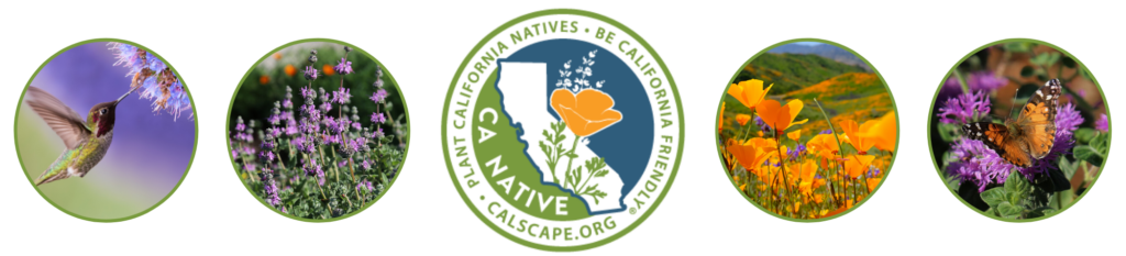 Local Plants and Pollinators