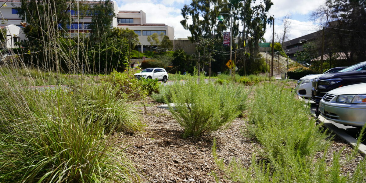 Saddleback College