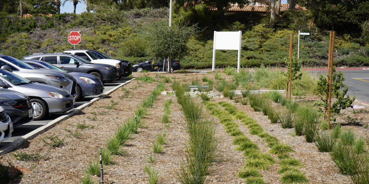 Saddleback College