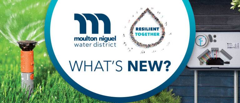 July 2023 Newsletter: July is Smart Irrigation Month: Use Water Wisely and Help Reduce Urban Runoff Pollution