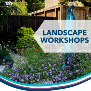 Landscape Workshops