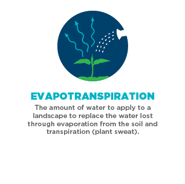 evapotranspiration