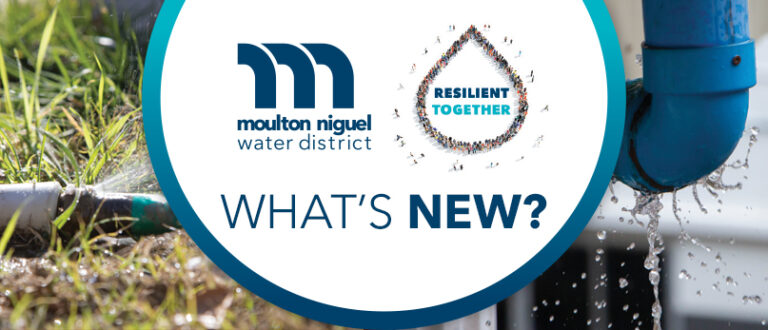 March 2023 Newsletter: Spring Into Water Savings: Together We Can Make Every Drop Count!