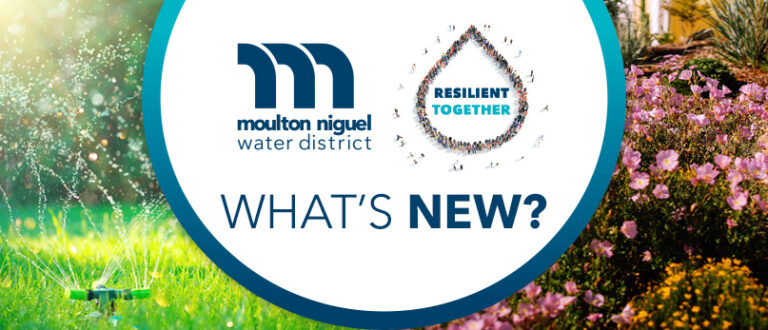 September 2022 Newsletter: Outdoor watering tips, rebates, and more!