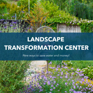 Landscape Transformation Center