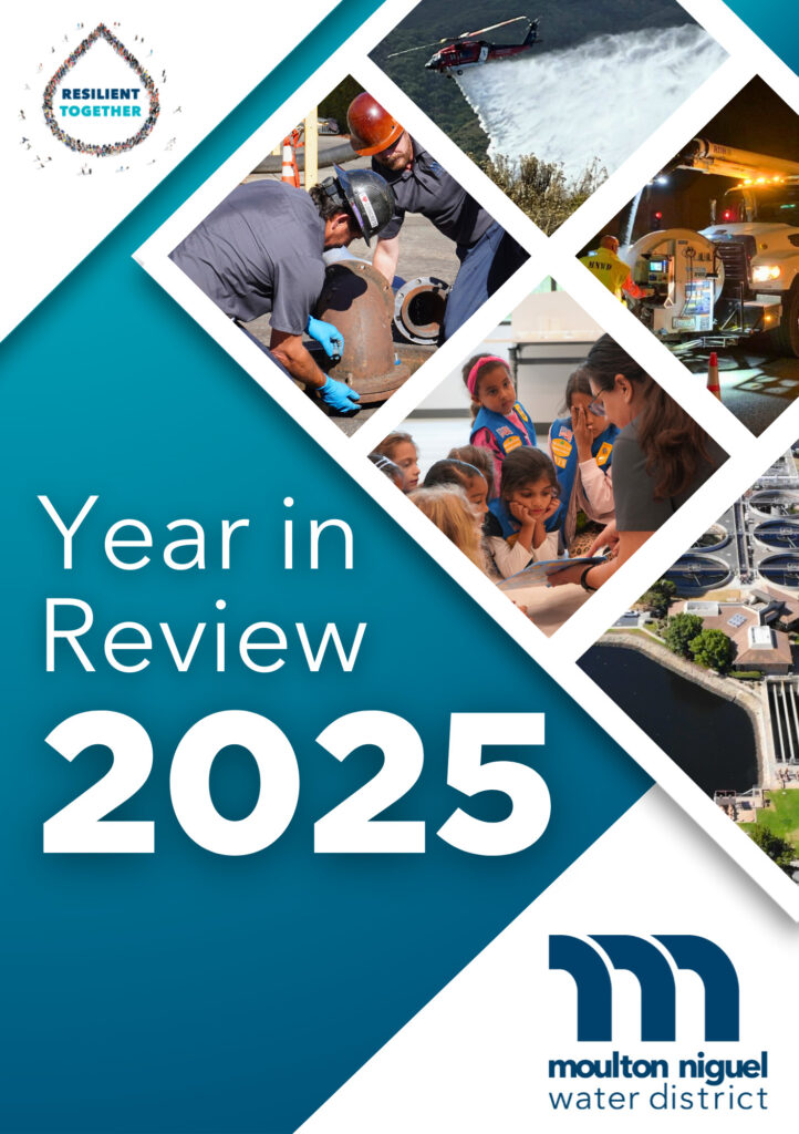 NEW 2025 YEAR IN REVIEW