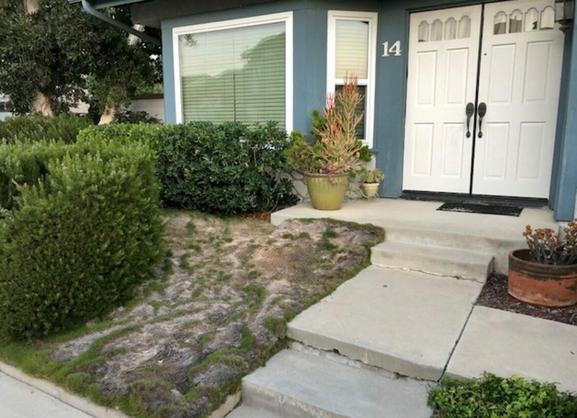 Before photo of Langdon