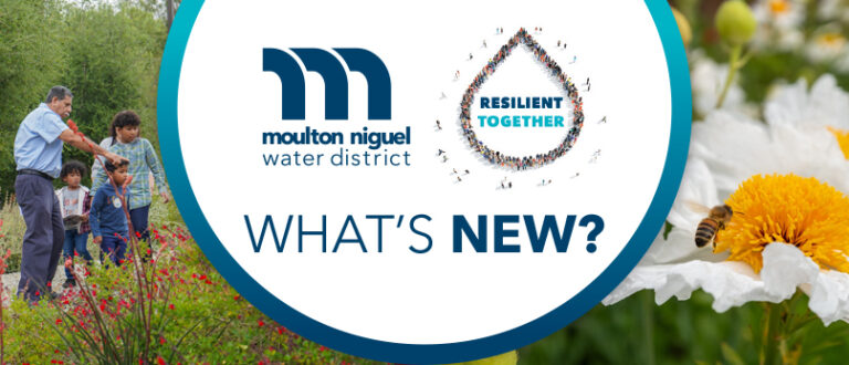 March 2025 Newsletter: IF THE WATER’S OUT, CHECK WITH MOULTON NIGUEL FIRST