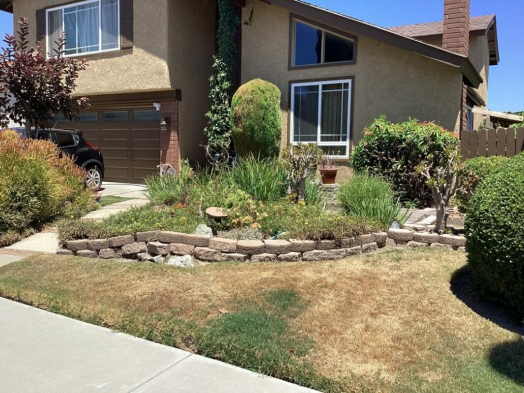 Before photo of Presley garden