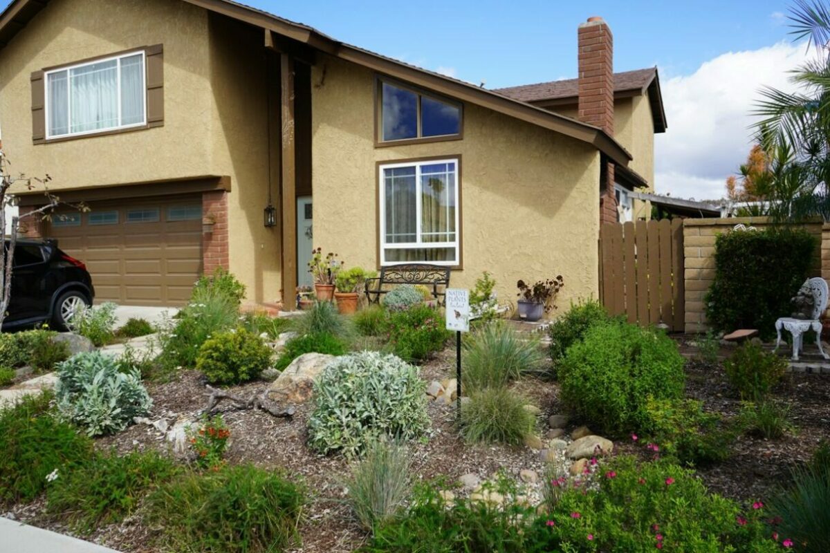 Before photo of Presley garden