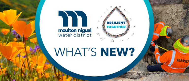August 2024 Newsletter: Moulton Niguel Honored for Transparent & Accessible Financial Reporting