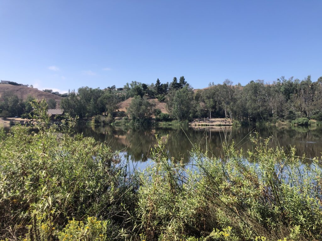 A peaceful scene of a lake with trees and blue sky reflected in the water.