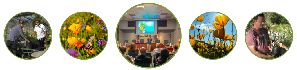 Free Sustainable Landscape Workshops