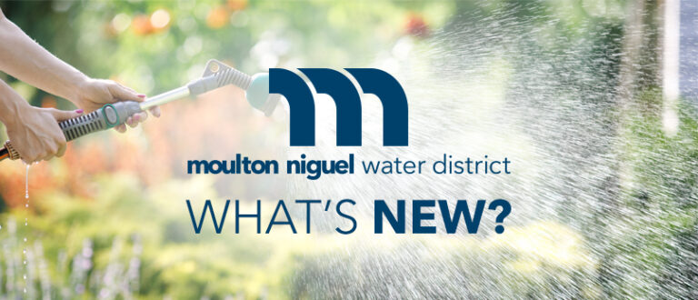 March 2021 Newsletter: Spring Into Water Efficiency