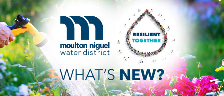 March 2022 Newsletter: Spring Into Water Efficiency