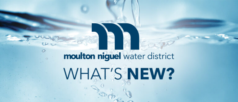 January 2019 Newsletter: Participate with Moulton Niguel This Year!